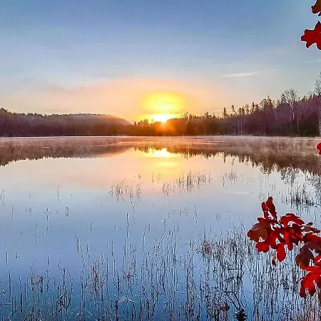 Semesterbostad Ahomoisio By Interhome Lavia