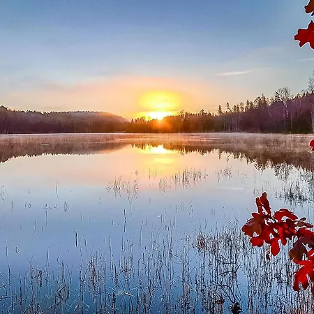 Ahomoisio By Interhome